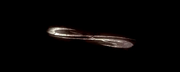 Scmv2