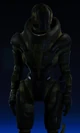Medium-turian-Mantis
