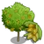 Almond Tree-icon.png