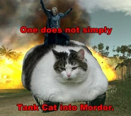 CATTANK