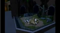 Gorilla-Exhibit.jpg