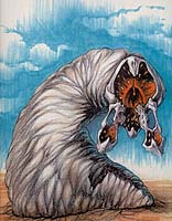 El Blanco