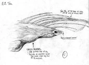 Assblaster-sketch1-l