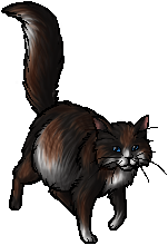 Die WindClan-Chroniken Mosspelt.queen