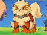 EP230 Arcanine de Gary