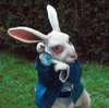 The White Rabbit