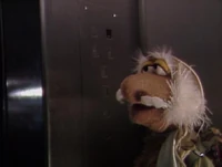 Matt elevator