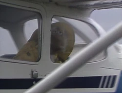 Matt plane