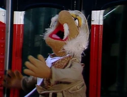 Matt bus