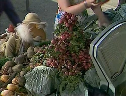 Matt radishes