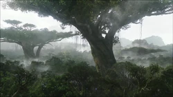 Hometree.jpg