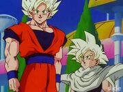 Gokugohan fin