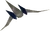 Arwing