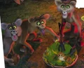 Fossa001.JPG