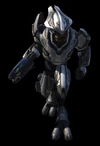 Elite walk-00.jpg