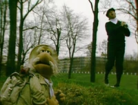 Matt golf