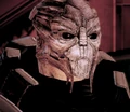 Gavorn.jpg