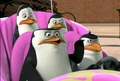 Car 2.JPG