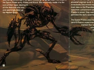 Spacepirate manual