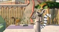 Lemur-Habitat 4.JPG