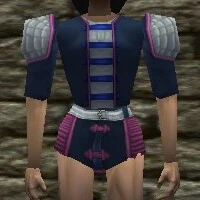 Leather Shirt (Loot) Live