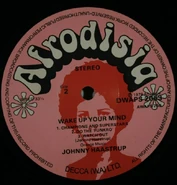 Afrodisia DWAPS2053 2