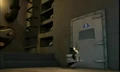 Penguin Habitat 001.JPG