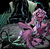 Cophrigin flower