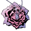 Flora-stub.png