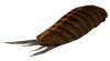 FO3 radroach meat