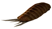FO3 radroach meat
