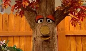 AnnieOak