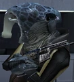 Shasa.jpg