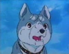 Gin as a pup