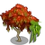 Gulmohar Tree-icon.png