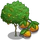 Mandarin Tree-icon