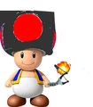 Final Toad.jpg