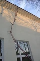 Zerwane płotki SP3 02.JPG