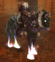 DK mit Pferd