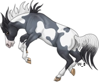Australianbrumby.png