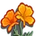 Golden Poppy-icon