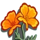 Golden Poppy-icon