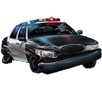 Stolen Police Car