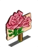 Pink Roses