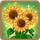 Flower Power-icon.png