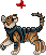 Kuras tiger cub female.gif