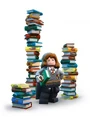 Hermione books Lego Years 1 to 4.jpg