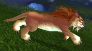 Elder Springpaw.jpg