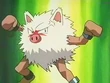 EP159 Primeape de Butch