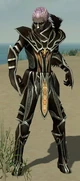 Necromancer Elite Sunspear armor m.jpg